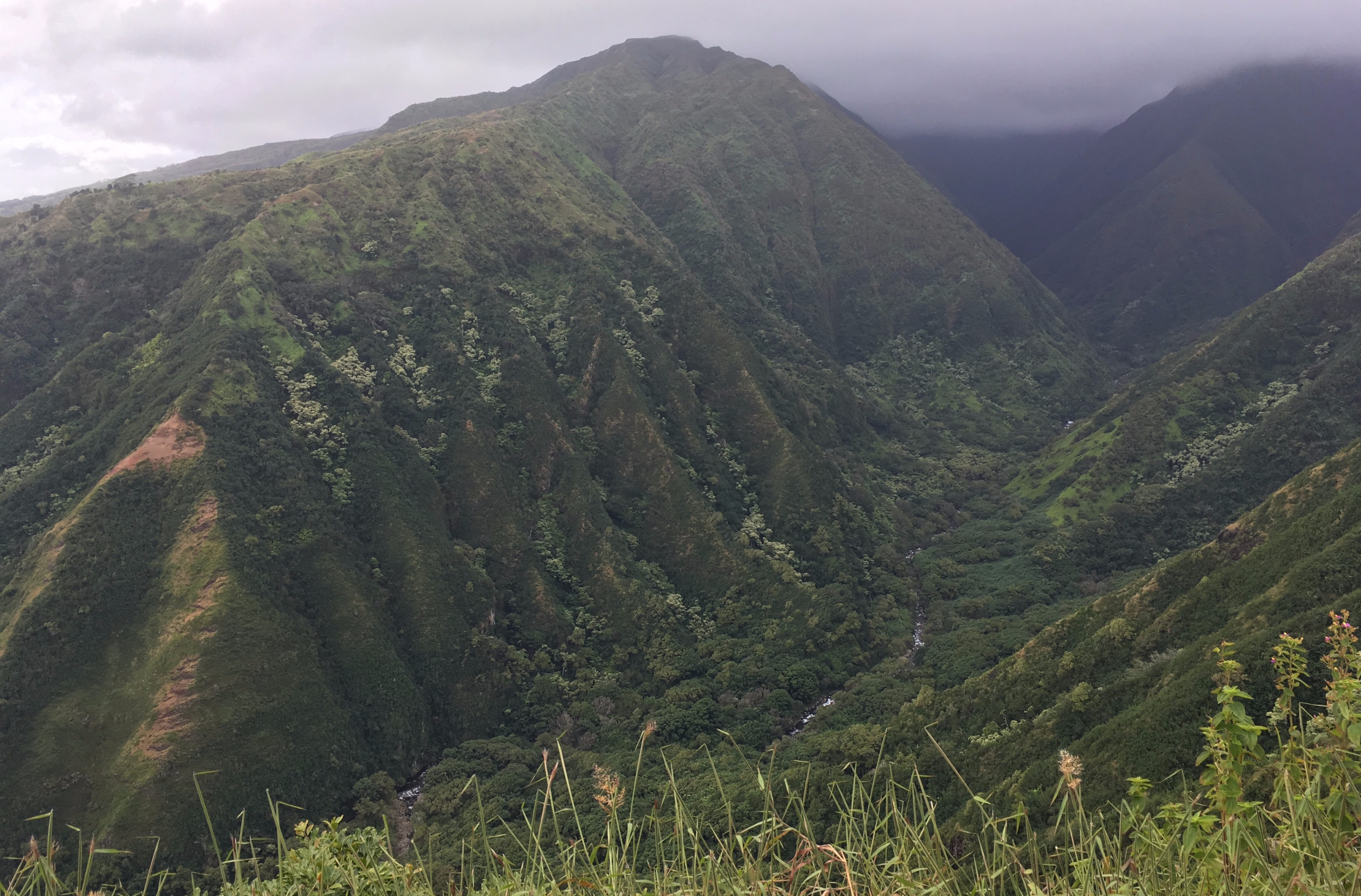 Maui (November 2016) - nRT | Nishant Totla